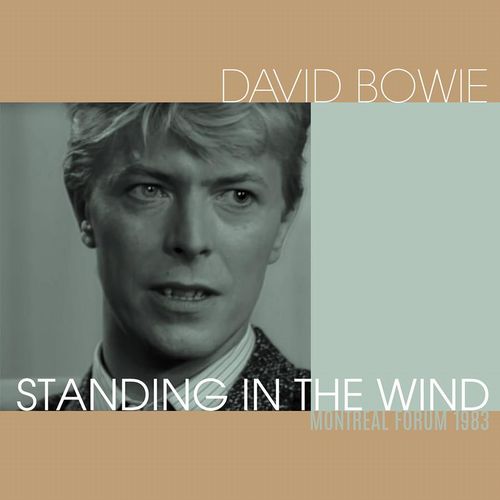 DAVID BOWIE / デヴィッド・ボウイ / STANDING IN THE WIND (CLEAR VINYL)