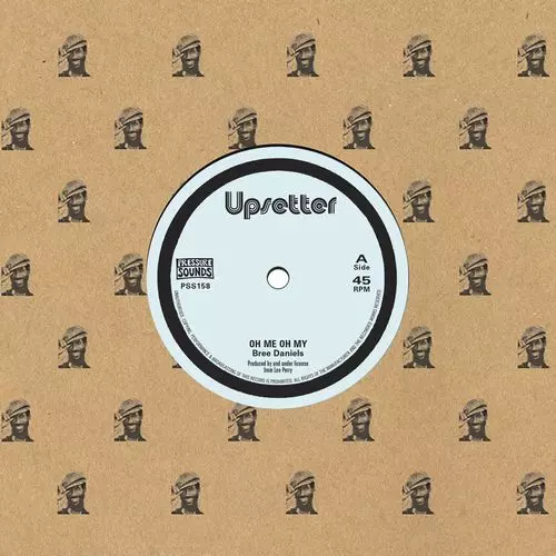 リー・ペリー ザジョリー・ブラザーズ–コンシャス・マン レコード LEE PERRY / リー・ペリー商品一覧｜REGGAE｜ディスクユニオン
