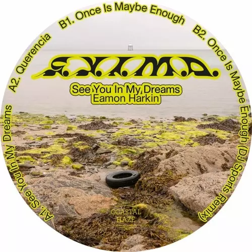 EAMON HARKIN / イーモン・ハーキン / SEE YOU IN MY DREAMS