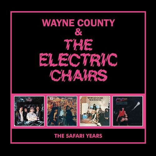 WAYNE COUNTY & THE ELECTRIC CHAIRS / ウェイン・カウンティー&ザ・エレクトリック・チェアーズ / THE SAFARI YEARS (4CD / 国内仕様盤)