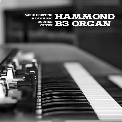 V.A. (EXCITING & DYNAMIC SOUNDS OF THE HAMMOND B3 ORGAN) / MORE EXCITING & DYNAMIC SOUNDS OF THE HAMMOND B3 ORGAN (LP)