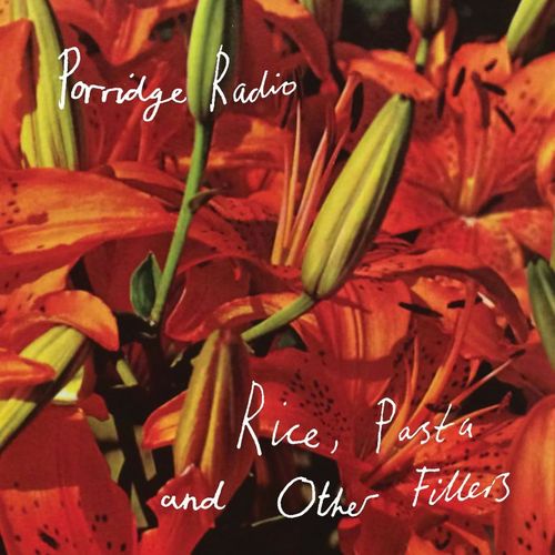 PORRIDGE RADIO / ポリッジ・レディオ / RICE, PASTA AND OTHER FILLERS (CD)