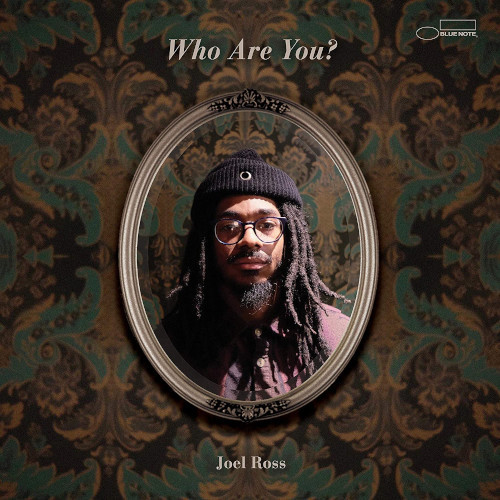 JOEL ROSS / ジョエル・ロス / Who Are You?(2LP)