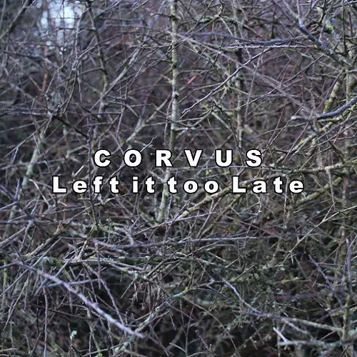 CORVUS (PUNK) / LEFT IT TOO LATE