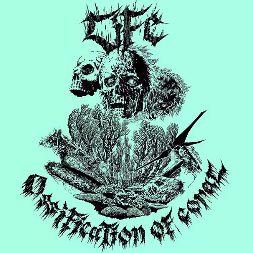 OSSIFICATION OF CORAL (LP/US)/LIFE (JPN/PUNK)｜PUNK｜ディスク