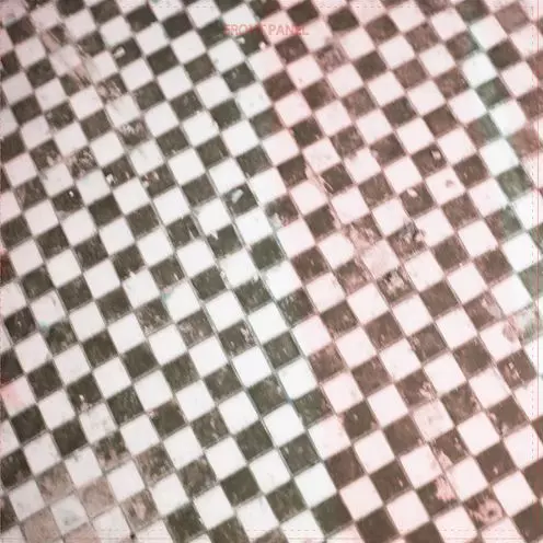 RYLEY WALKER / ライリー・ウォーカー / FOR MICHAEL RIPPS (CD-R)