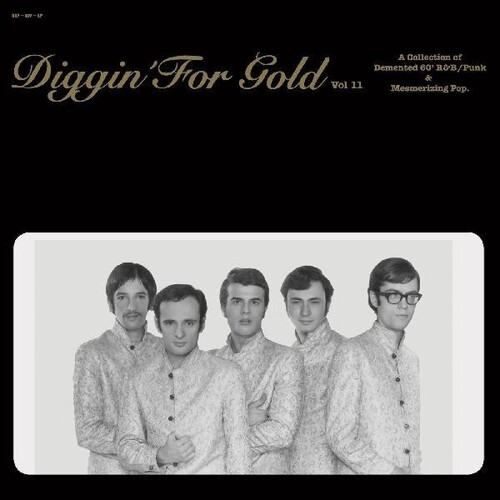 V.A. (DIGGIN' FOR GOLD) / DIGGIN' FOR GOLD VOL.11 (LP)