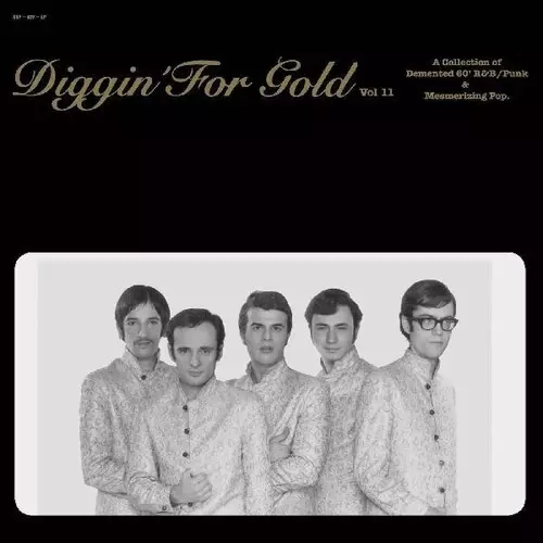V.A. (DIGGIN' FOR GOLD) / DIGGIN' FOR GOLD VOL.11 (LP)