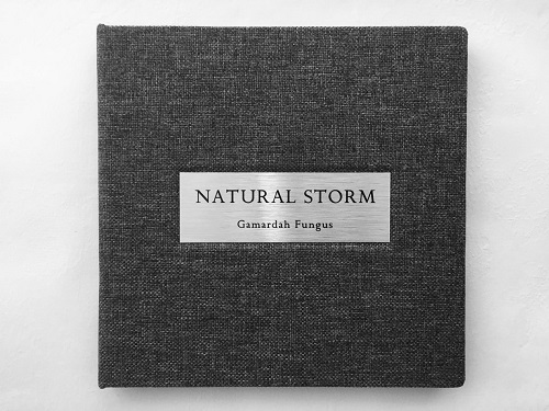 GAMARDAH FUNGUS / NATURAL STORM (DELUXE EDITION)