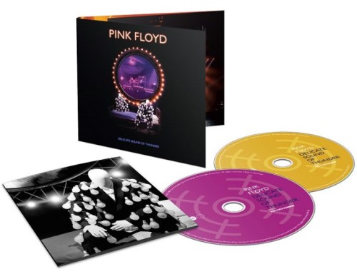 PINK FLOYD / ピンク・フロイド / DELICATE SOUND OF THUNDER: RESTORED, RE-EDITED & REMIXED