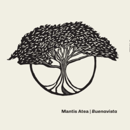 MANTIS ATEA / BUENAVISTA