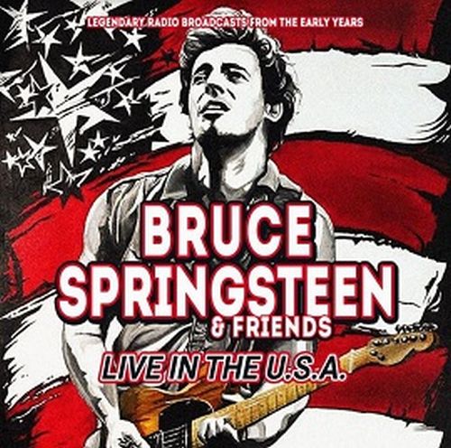 BRUCE SPRINGSTEEN / ブルース・スプリングスティーン /  LIVE IN THE USA (CD)