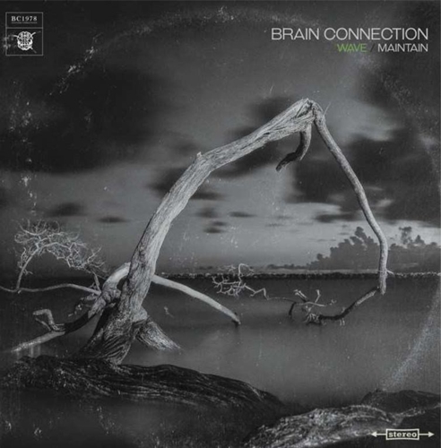 V.A. (Brain Connection 1978) / Wave Maintain "LP"