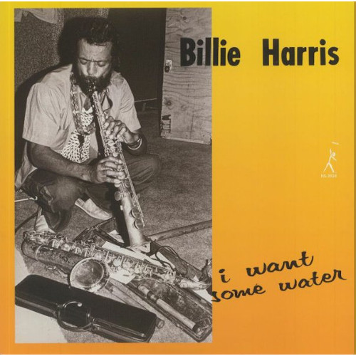 BILLIE HARRIS / ビリー・ハリス / I Want Some Water(LP)