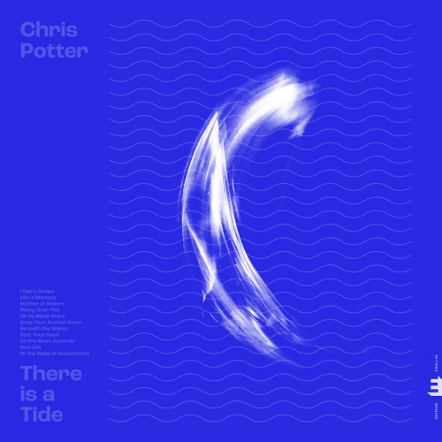 CHRIS POTTER / クリス・ポッター / There Is A Tide
