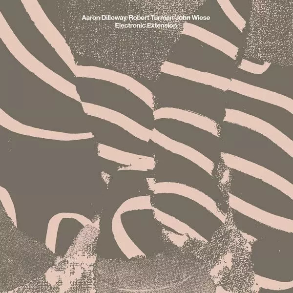 AARON DILLOWAY / ROBERT TURMAN / JOHN WIESE / ELECTRONIC EXTENSION (CD)