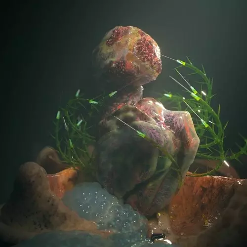 HYPH11E / KODE9 / BARNACLES