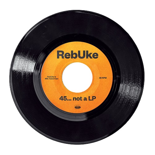REBUKE (Milo(DESCENDENTS)) / 45... NOT A LP (7")