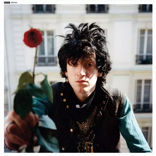 NIKKI SUDDEN / ニッキ・サドゥン / THE BIBLE BELT (2LP)