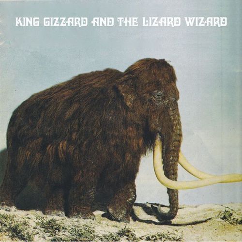 KING GIZZARD AND THE LIZARD WIZARD / キング・ギザード&ザ・リザード・ウィザード / POLYGONDWANALAND (FUZZ CLUB VERSION) (LP)