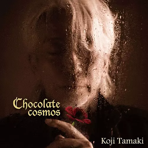 玉置浩二 / Chocolate cosmos LP Chocolate cosmos(LP)/KOJI TAMAKI/玉置浩二｜日本のロック｜ディスク