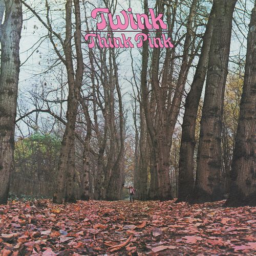 TWINK / トゥインク / THINK PINK (50TH ANNIVERSARY EDITION) (LP)