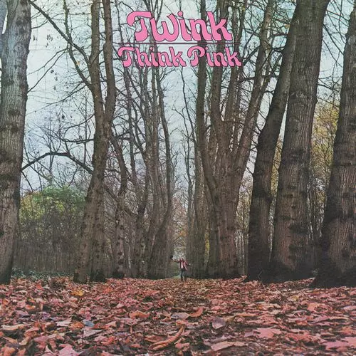 THINK PINK (50TH ANNIVERSARY EDITION) (LP)/TWINK/トゥインク/※2022