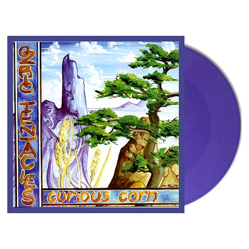 OZRIC TENTACLES / オズリック・テンタクルズ / CURIOUS CORN: LIMITED PURPLE COLOURED VINYL - 180g LIMITED VINYL/2020 REMASTER