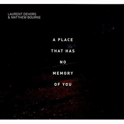 LAURENT DEHORS / Place That Has No Memory Of You