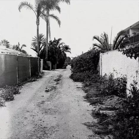 THROWING MUSES / スローイング・ミュージズ / SUN RACKET (MONOCHROME EDITION)