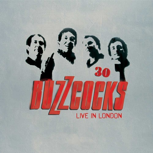 BUZZCOCKS / バズコックス / 30 (LIVE IN LONDON) (2LP)