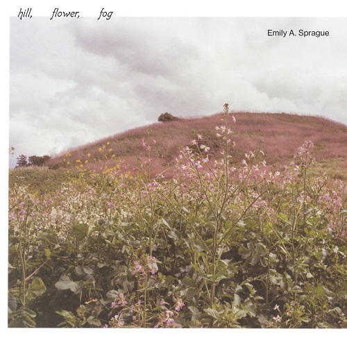 EMILY A. SPRAGUE / エミリー・スプレイグ / HILL, FLOWER, FOG