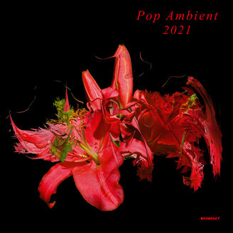 V.A.(POP AMBIENT) / POP AMBIENT 2021 (CD)