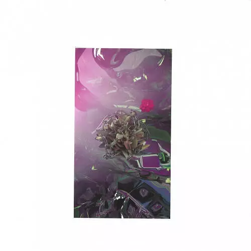 DVLVCRVZ / EDGE OF REALITY