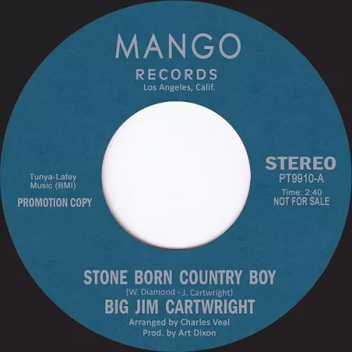 BIG JIM CARTWRIGT & BIG JIM / STONE BORN COUNTRY BOY (7")