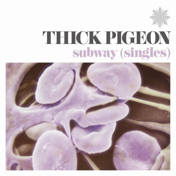 THICK PIGEON / SUBWAY (SINGLES)