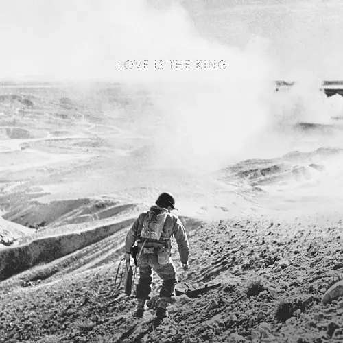 JEFF TWEEDY / ジェフ・トゥイーディー / LOVE IS THE KING [VINYL]