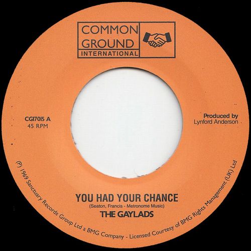 GAYLADS / ゲイラッズ / YOU HAD YOUR CHANCE