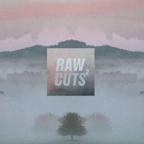 V.A. (CHILLHOP MUSIC) / RAW CUTS 2 "LP"