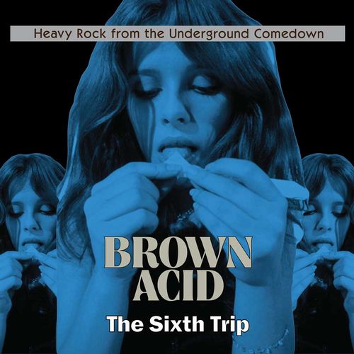 V.A. (BROWN ACID) / BROWN ACID: THE SIXTH TRIP (LP)