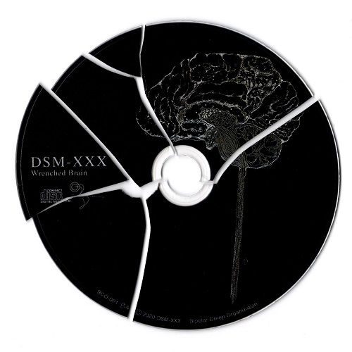 DSM-XXX / WRENCHED BRAIN