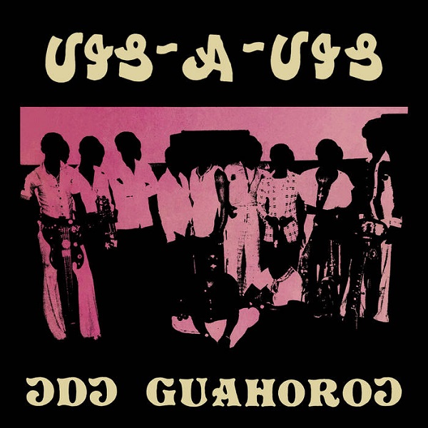Odo Gu Ahorow Vis A Vis ヴィザヴィ ガーナのファンキー ハイライフを代表するバンドによる1976年作が世界初リイシュー Latin Brazil ディスクユニオン オンラインショップ Diskunion Net