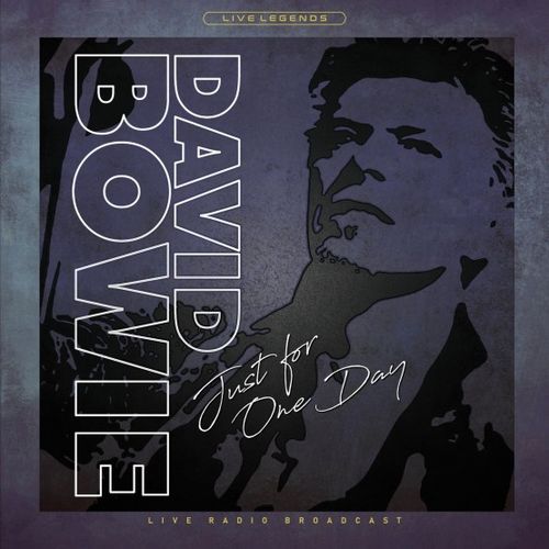 DAVID BOWIE / デヴィッド・ボウイ / JUST FOR ONE DAY (LP)