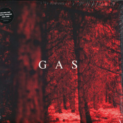 GAS (WOLFGANG VOIGT) / 魔の山