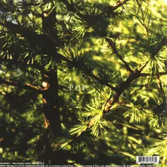 GAS (WOLFGANG VOIGT) / POP