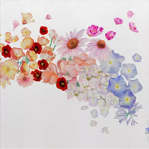 GRETCHEN PARLATO / グレッチェン・パーラト / Flor(LP/COLOUR VINYL)