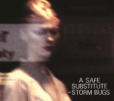 STORM BUGS / ストーム・バグス / A SAFE SUBSTITUTE