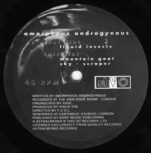 AMORPHOUS ANDROGYNOUS / アモルファス・アンドロジナス / LIQUID INSECTS