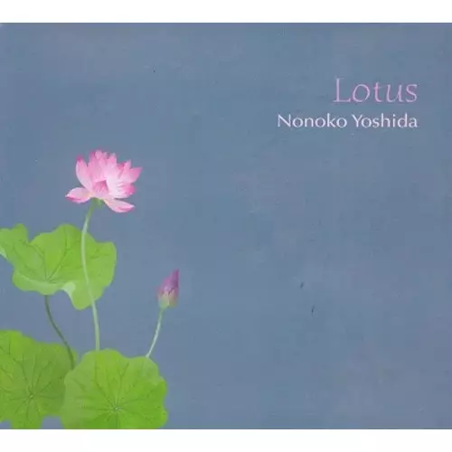 NONOKO YOSHIDA / 吉田野乃子 / Lotus / ロータス