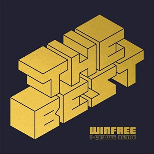 WINFREE / ウィンフリー / BEST (T-GROOVE REMIX) / I LOVE THE WAY(7")